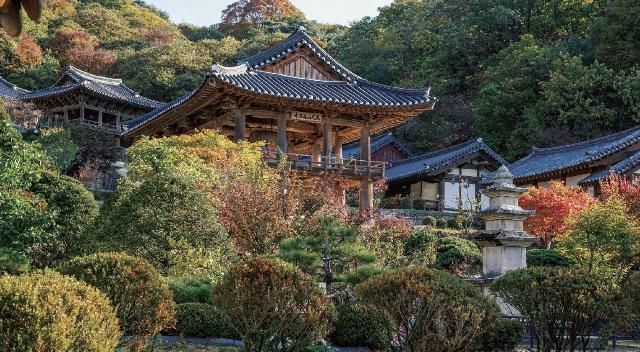 山寺，韩国的山地僧院 (2018)
